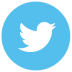 twitter icon